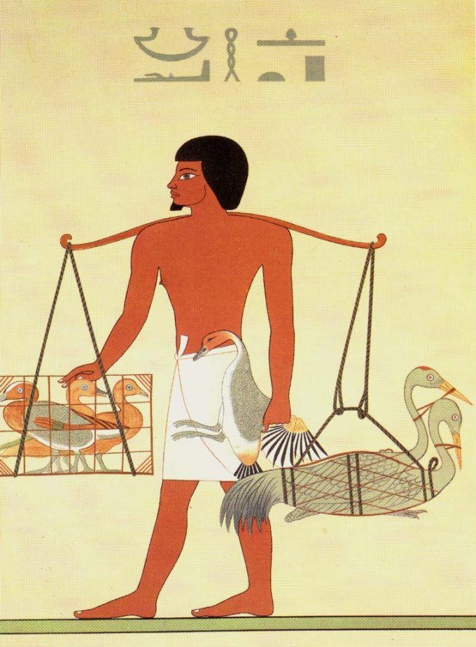 Égypte : Les origines du Foie Gras dévoilées il y a plus de 4500 ans !
