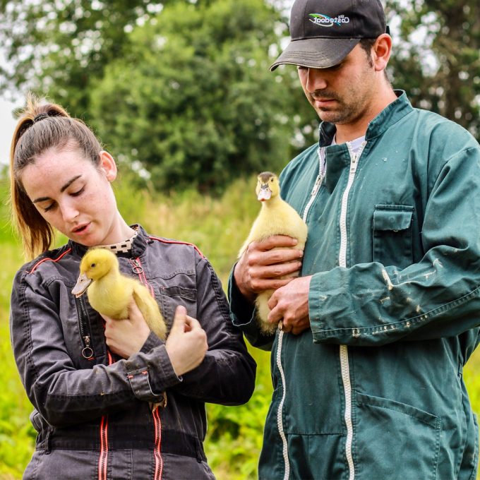Journées du Patrimoine 2025 : les producteurs de Foie Gras ouvrent leurs portes aux scolaires et au public du 19 au 20 septembre